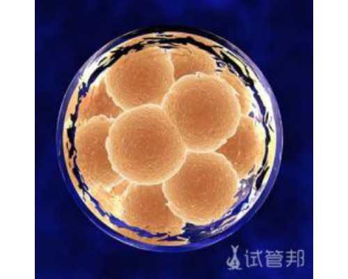 福州私立试管机构合法吗,福州有多少家试管婴儿！