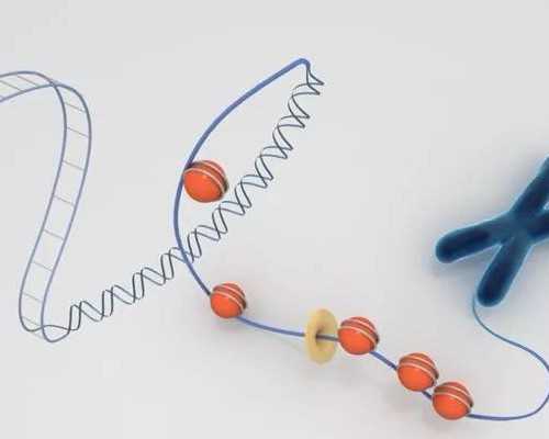 福州试管代生男孩子,福州试管婴儿医院排名怎么样？