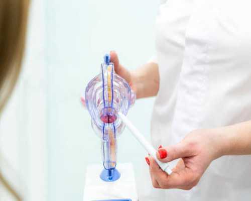 枫树的歌的故事