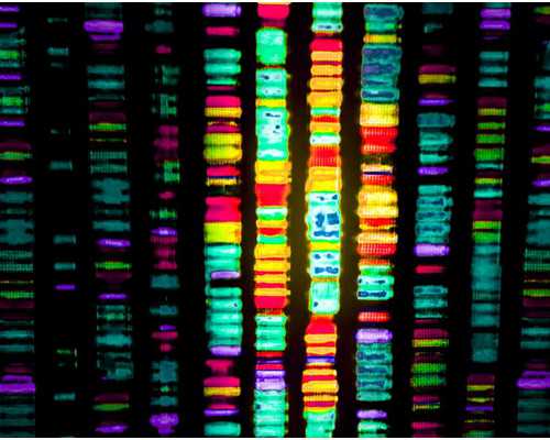 福州试管助孕公司,福州试管婴儿费用多少？要经历什么流程？