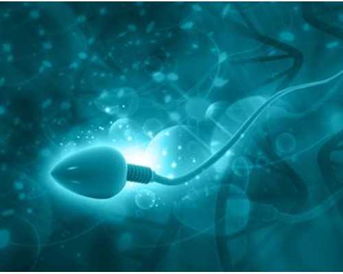 福州试管做男孩价格,福州私立医院试管(福州做试管费用是多少)