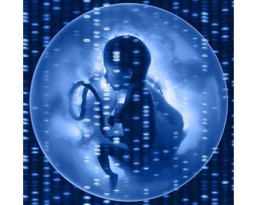 孕期早期是否适合食用香瓜？孕妇饮食健康建议与规划指南