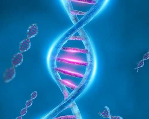 最好的婴儿奶粉品牌