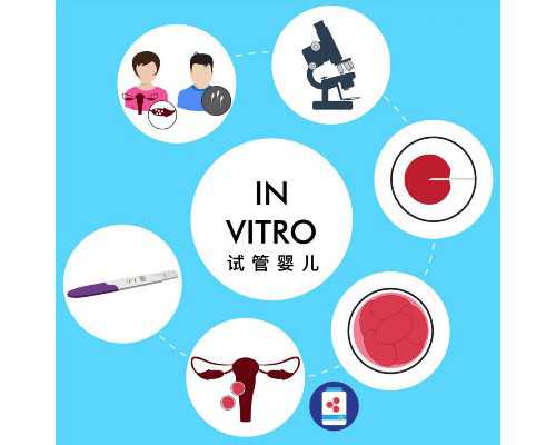 福州供卵代生女孩,福州医院助孕孩子价格;福州医院生孩子价格