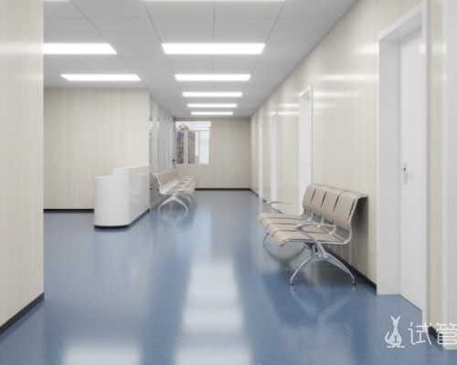 孕前饮食准爸爸吃什么蔬菜