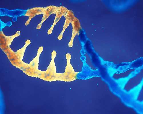 女性膀胱炎一般禁欲要多久?