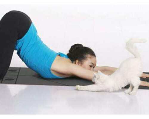 福州助孕代怀包男孩,福州三代试管婴儿私立医院的费用一般是多少？备孕姐妹