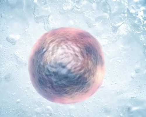 女性健康月经与怀孕的关系