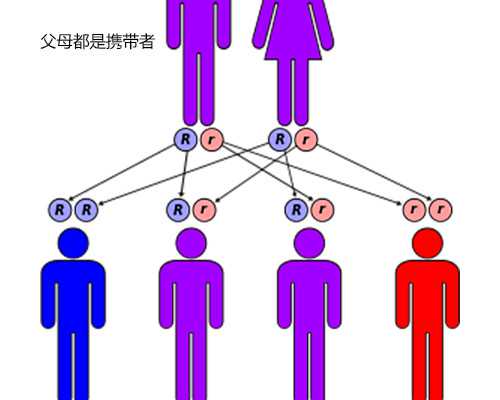 香港奶粉品牌 香港奶粉品牌的十大名次排列是什么