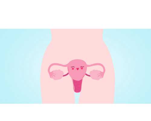 上海生育假是什么意思？有经济补贴吗？