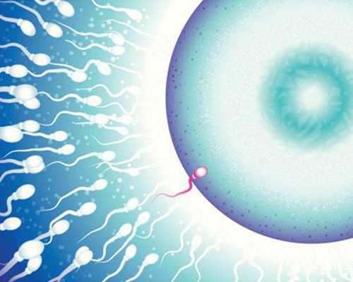 福州人工授精哪家成功率高(福州人工授精哪里最好)