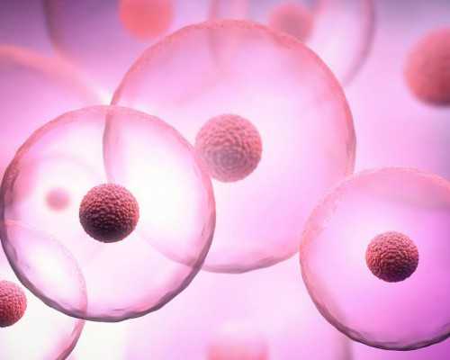 福建高龄供卵试管|福建二代试管哪里比较成熟？福建二代试管医院推荐