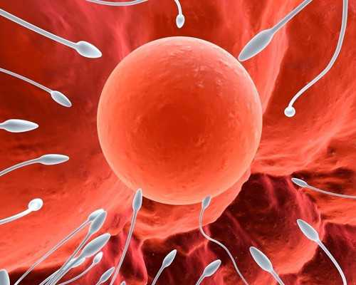 福州代怀生子男孩宝宝,福州三代试管婴儿私立医院的费用一般是多少？备孕姐