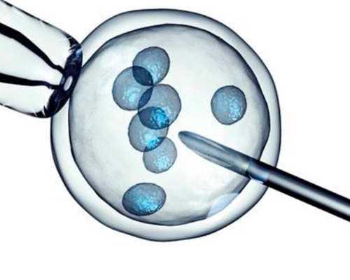 备孕夫妻做优生优育十项检查是挂什么科室？