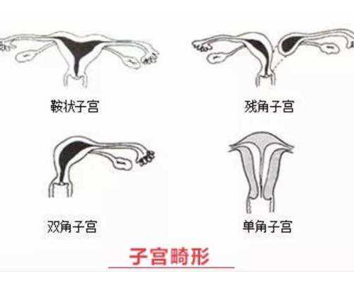 女性备孕期间可以吃大蒜吗