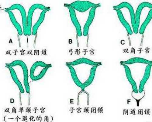 福建试管代孕医院费用|在福建医科大学附一医院做供精试管可以吗？附福建供