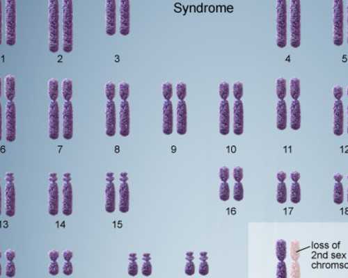 福州三代试管成功率？福州三代试管最好的医院？